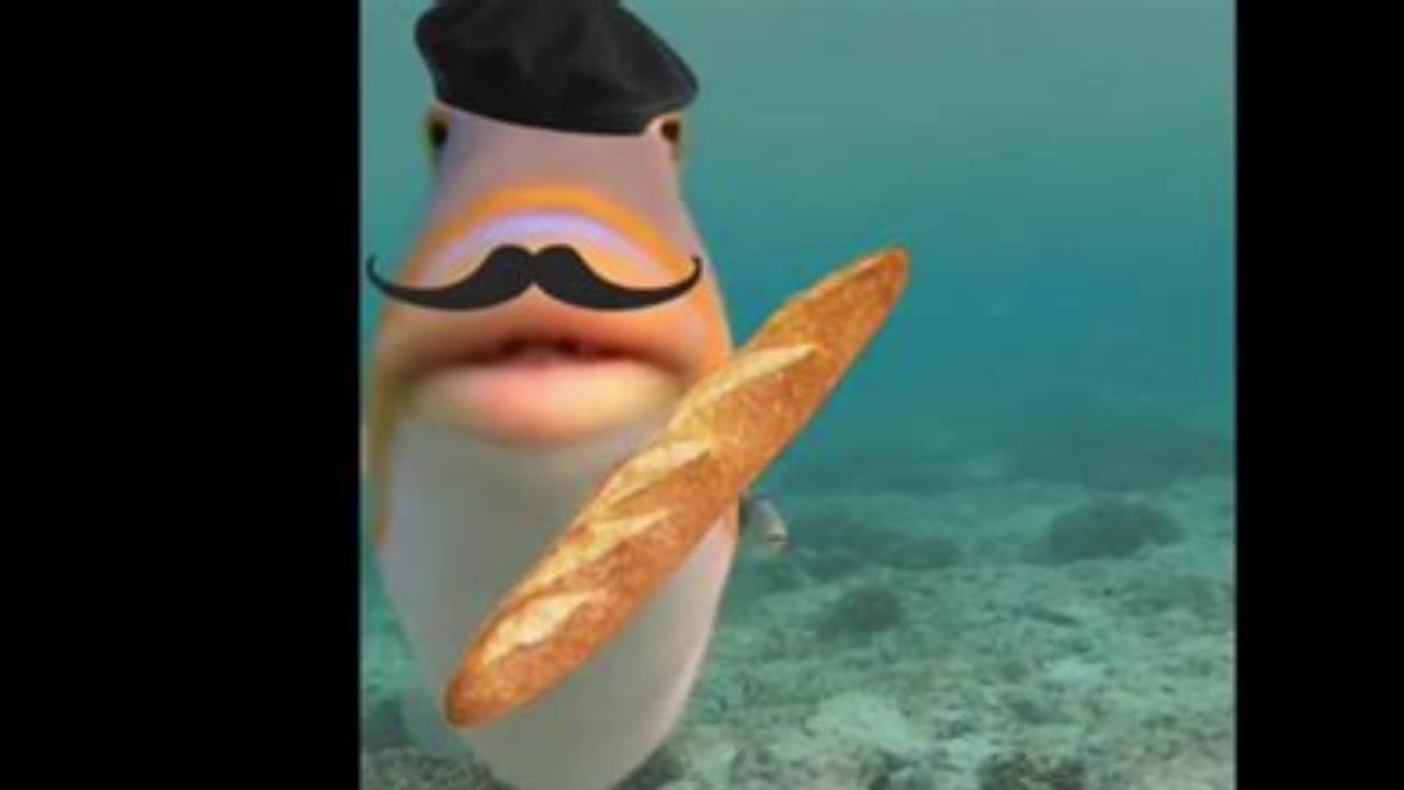 FRENCH THEME - EDIT