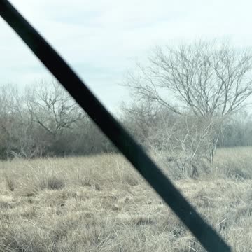 Tested and Impressed!