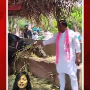 బర్రెతో మాట్లాడిన మల్లారెడ్డి #short #mallareddy #buffalo #talking | FBTV NEWS