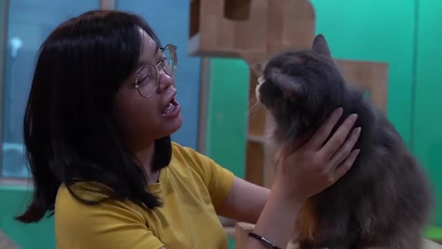 5 Adorable Pet Cafés in Kuala Lumpur & Selangor