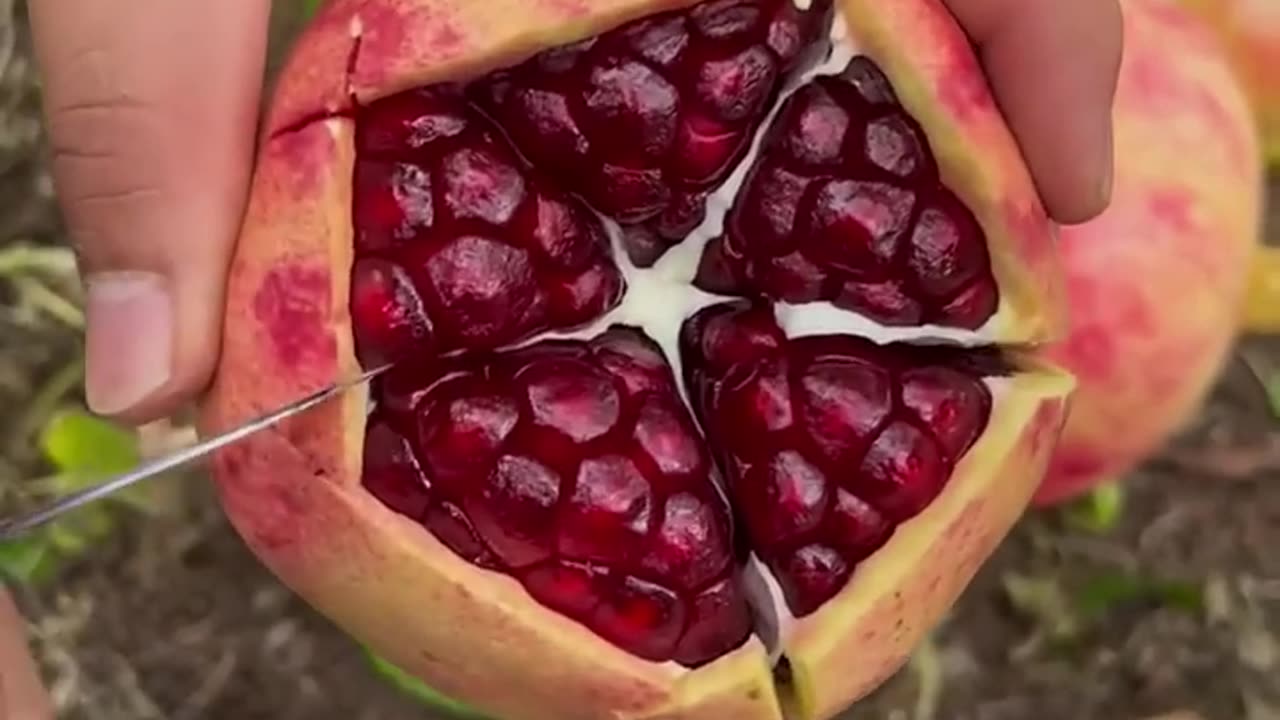 Very fresh and sweet pomegranate - For fruit lovers 12