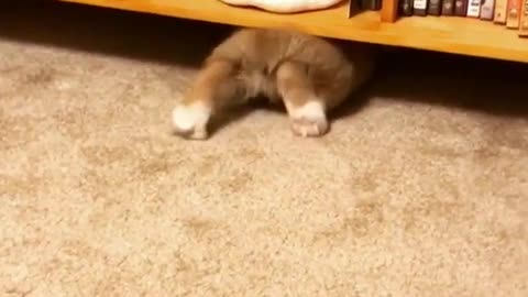 Mia Brandon went under the bookshelf to look for toys