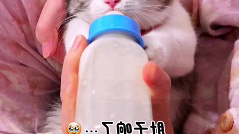 It's my MILK 😡