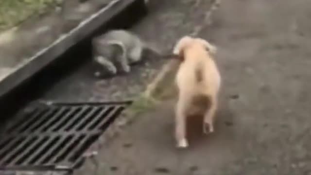 I took a 4 day break but I’m back.