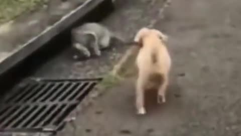 I took a 4 day break but I’m back.