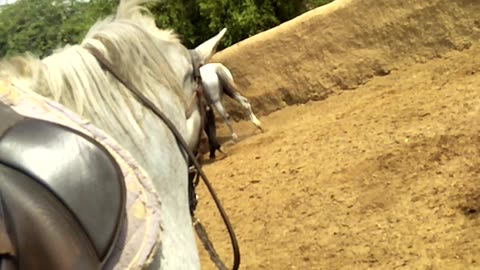 Horse riding first time 🐴