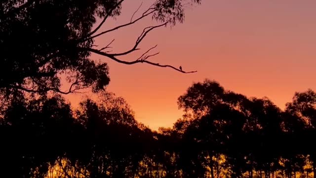caught the exact moment the sky changed colour: wait for it x