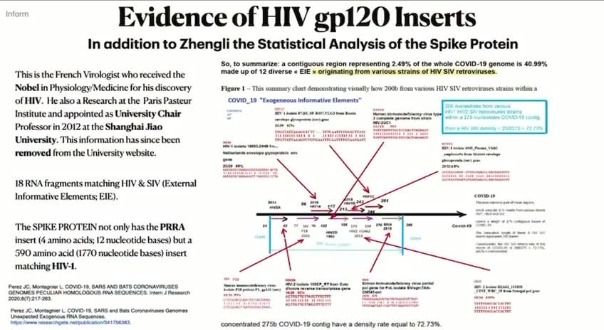 Dr. Richard Fleming shares Luc Montagnier’s discovery on HIV and spike protein