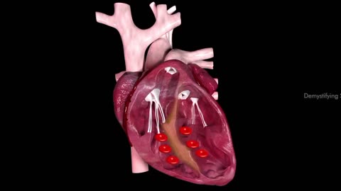 Human heart 💜 anatomy and physiology,how human heart ❤️ works?