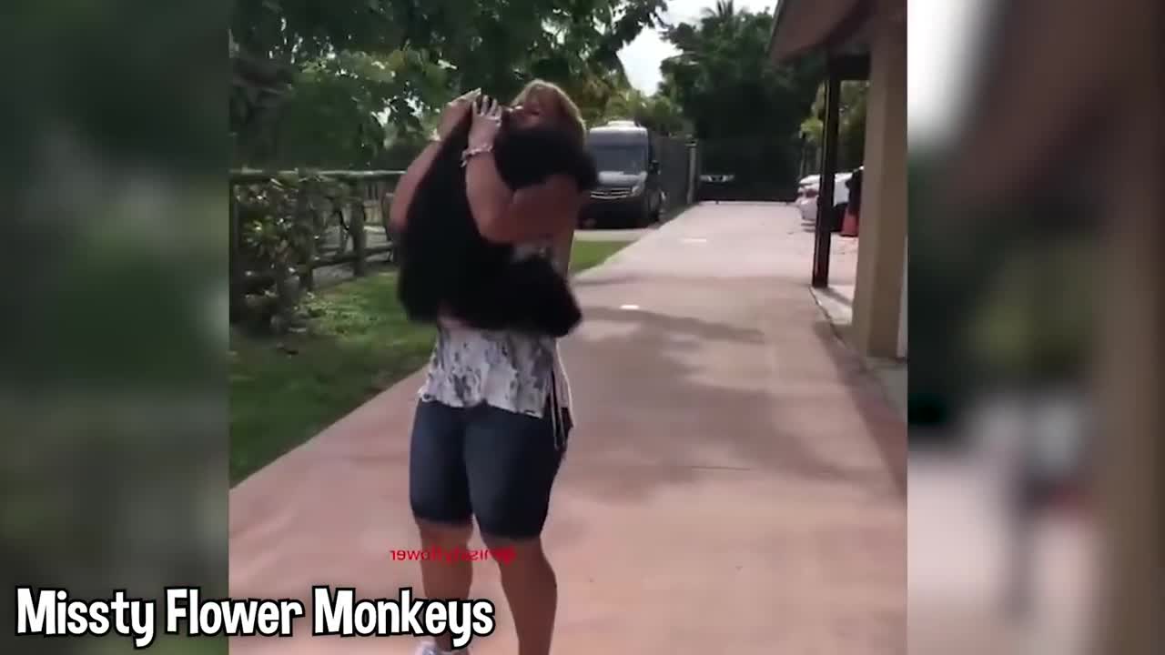 Girl Reunites With Pet Lion After 8 YEARS...