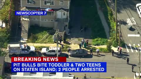 2 teens, toddler attacked by pit bulls on Staten Island