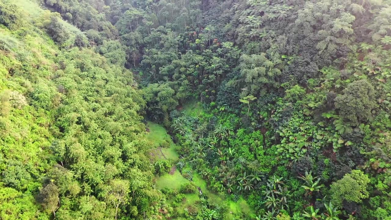 The Colors of Nature - A Virtual Journey to the World's Most Beautiful Landscapes