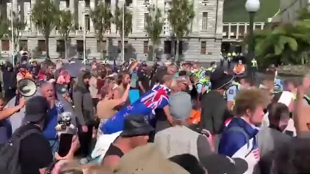 New Zealand finally steps up