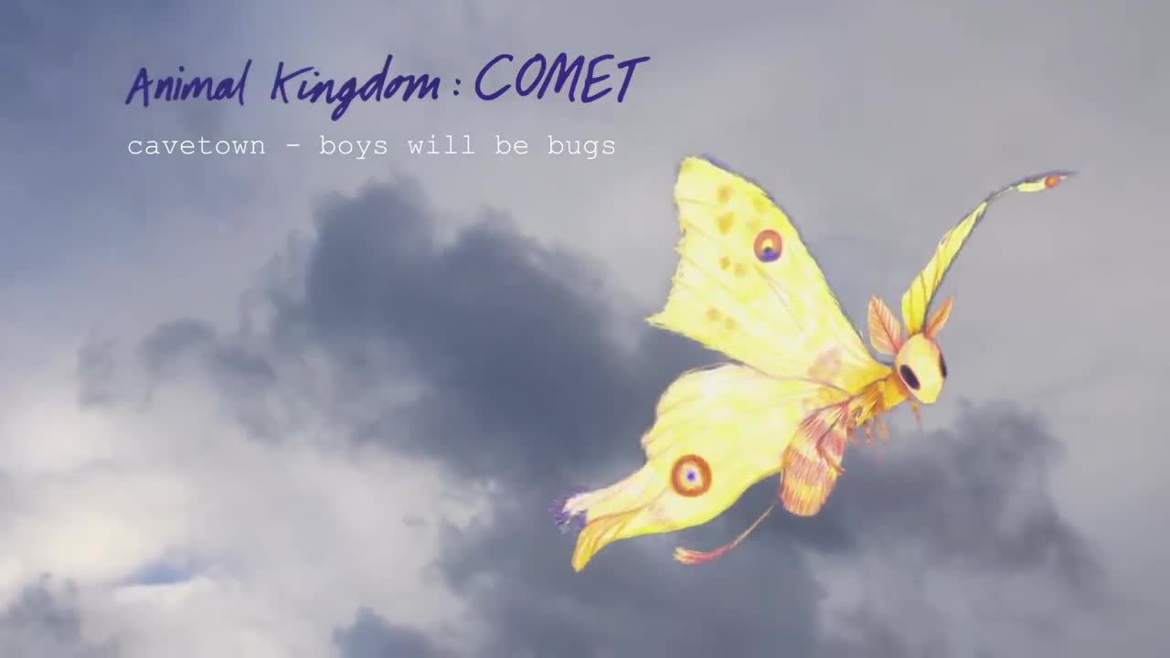 Boys Will Be Bugs by Cavetown (Official Audio) | Animal Kingdom