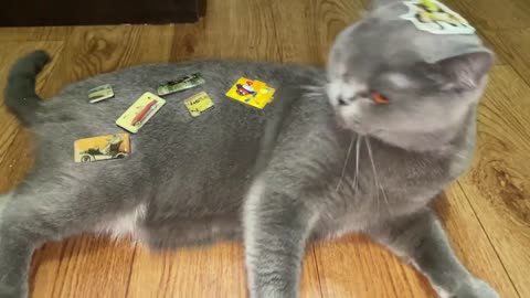 Hooman, I'm not a Refrigerator to put Magnets on Me