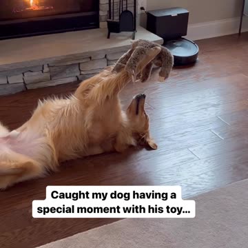 Caught my dog having special moment with his toy❤️