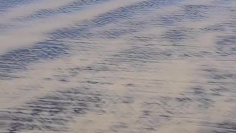 Cool Patterns on the Beach