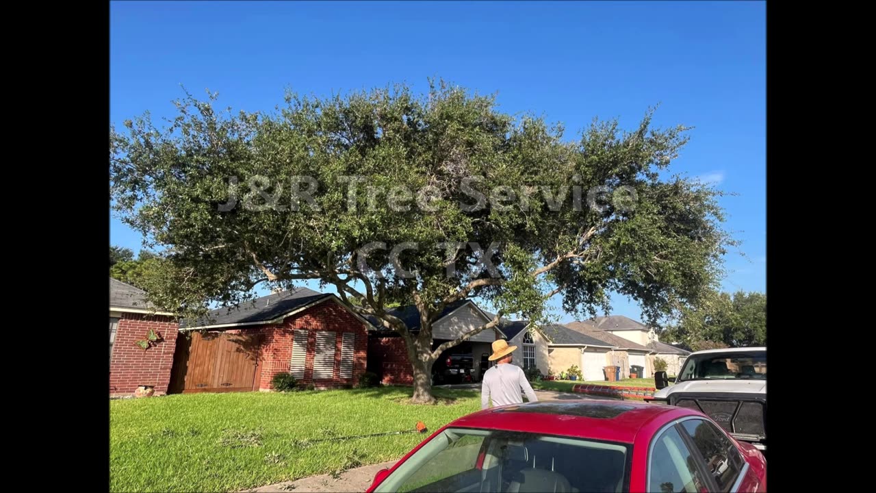 J&R Tree Service CC TX