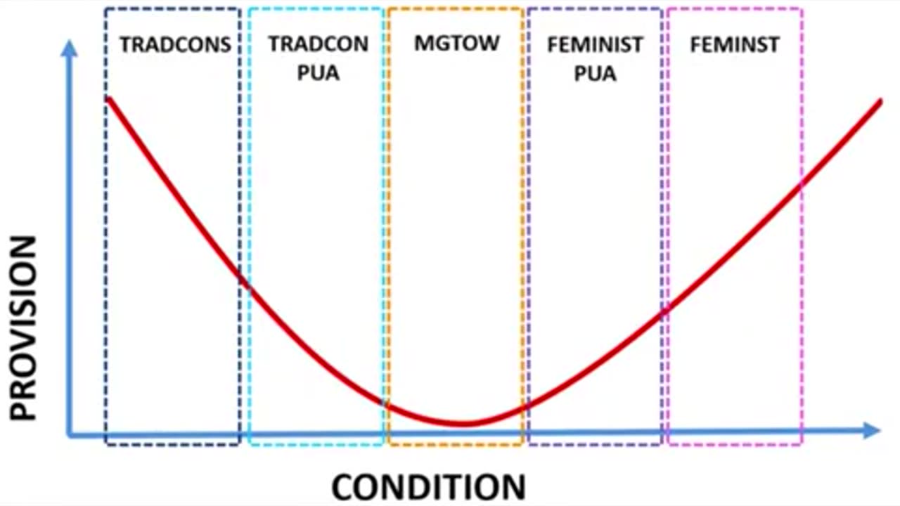 RACCOONING RACCOON - A DIFERENÇA ENTRE PUAS, INCELS E MGTOWS