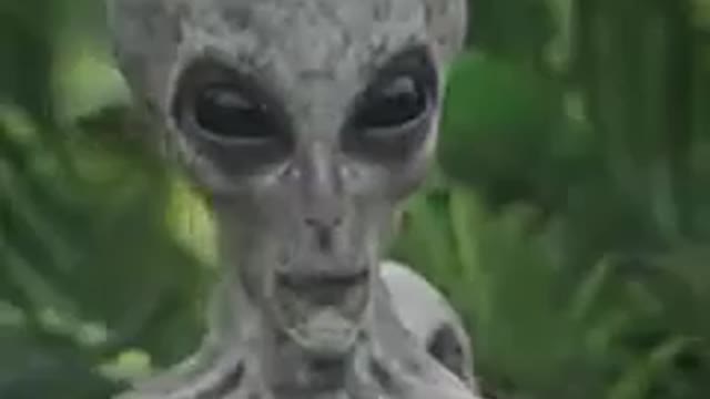 EXTRATERRESTRIAL APPEARS IN THE AMAZON JUNGLE WATCH THE VIDEO AND SHARE