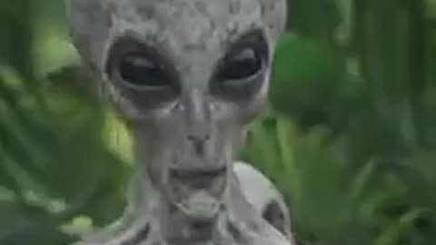 EXTRATERRESTRIAL APPEARS IN THE AMAZON JUNGLE WATCH THE VIDEO AND SHARE