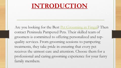 Best Pet Grooming in Fingal