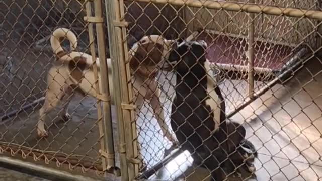 They're in love with each other. They just love each other