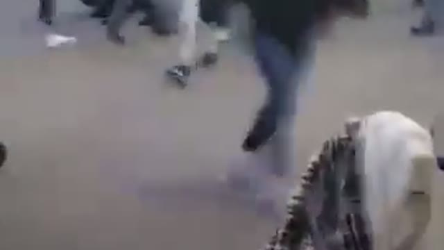 Driver deliberately plowing through multiple groups of a Christmas parade in Waukesha, WI