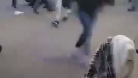 Driver deliberately plowing through multiple groups of a Christmas parade in Waukesha, WI