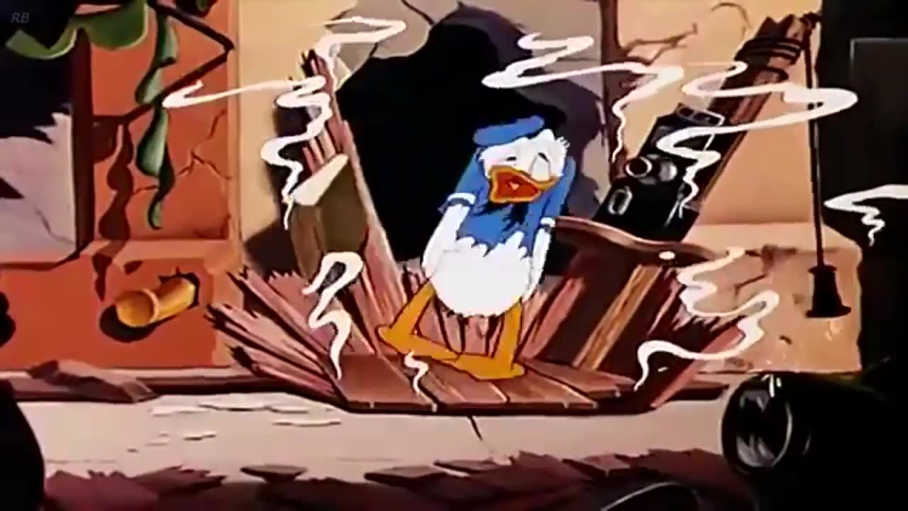 donuld duck
