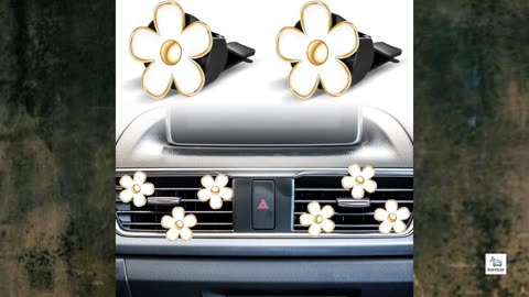 Review - Frienda 6 Pcs Daisy Flower Air Vent Clip Air Freshener