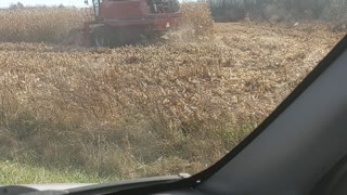 Combine corn harvest Columbiana, OH