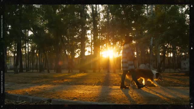 A woman walk through a park with dog next to a brown and white