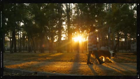 A woman walk through a park with dog next to a brown and white