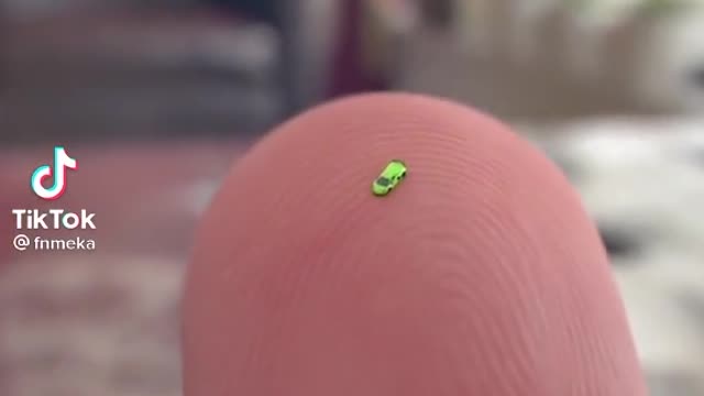 The tiniest Lamborghini in the world 🤩 what would you do with this?! 🔥
