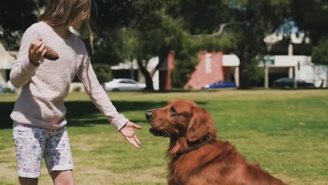 very nice video little girl traning a dog