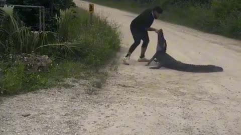 Florida man kisses gator