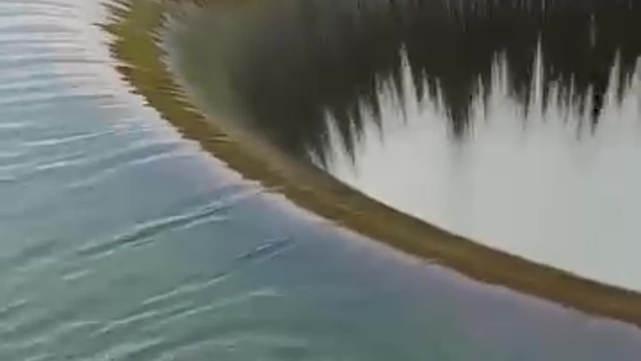 never swim near these hole