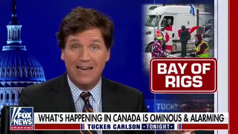 Tucker- Bay of Rigs