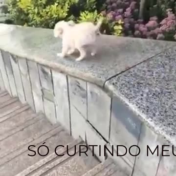 SÓ CURTINDO MEU ESCORREGADOR.