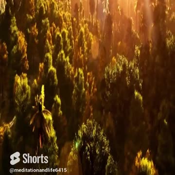 Tree Meditation_ Connecting with Nature's Wisdom & Strength_ #meditation #relaxingmusic #relaxing