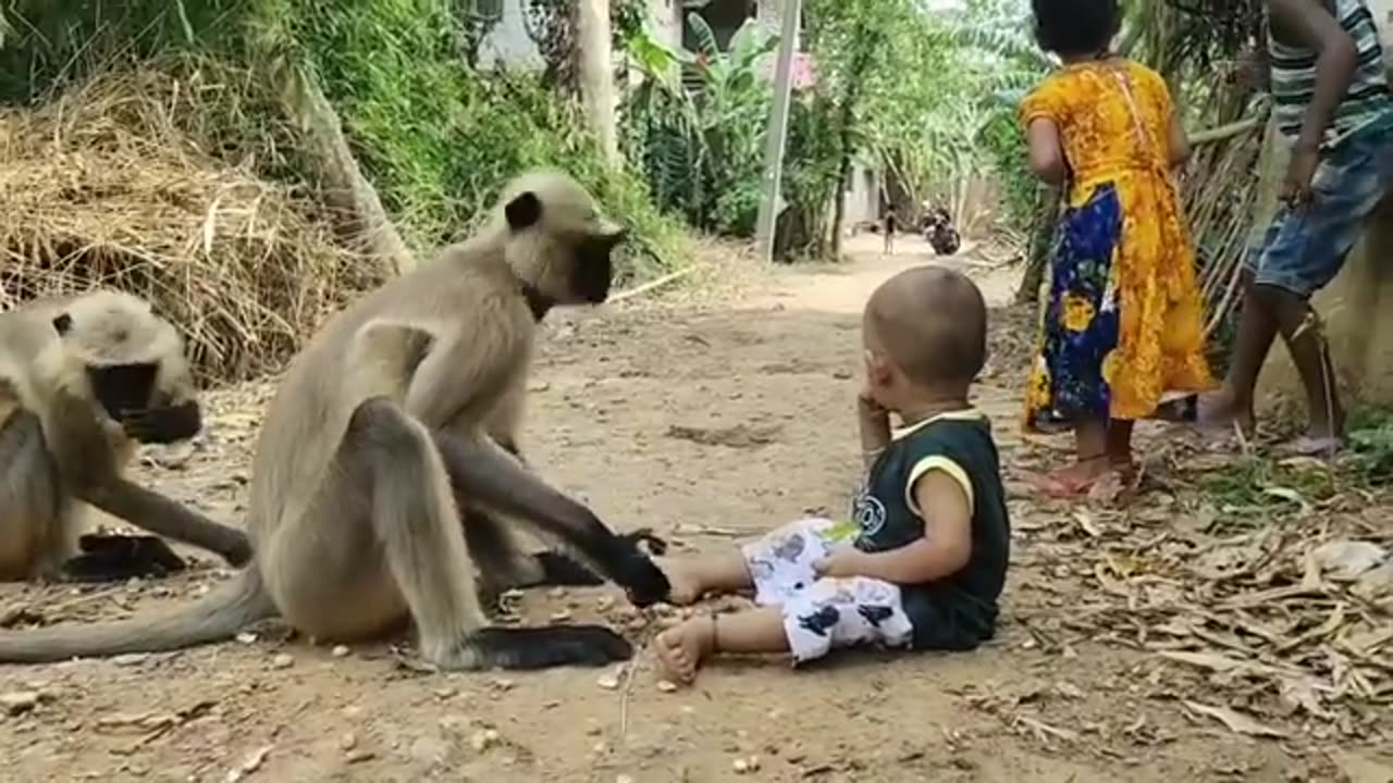 Child and langur