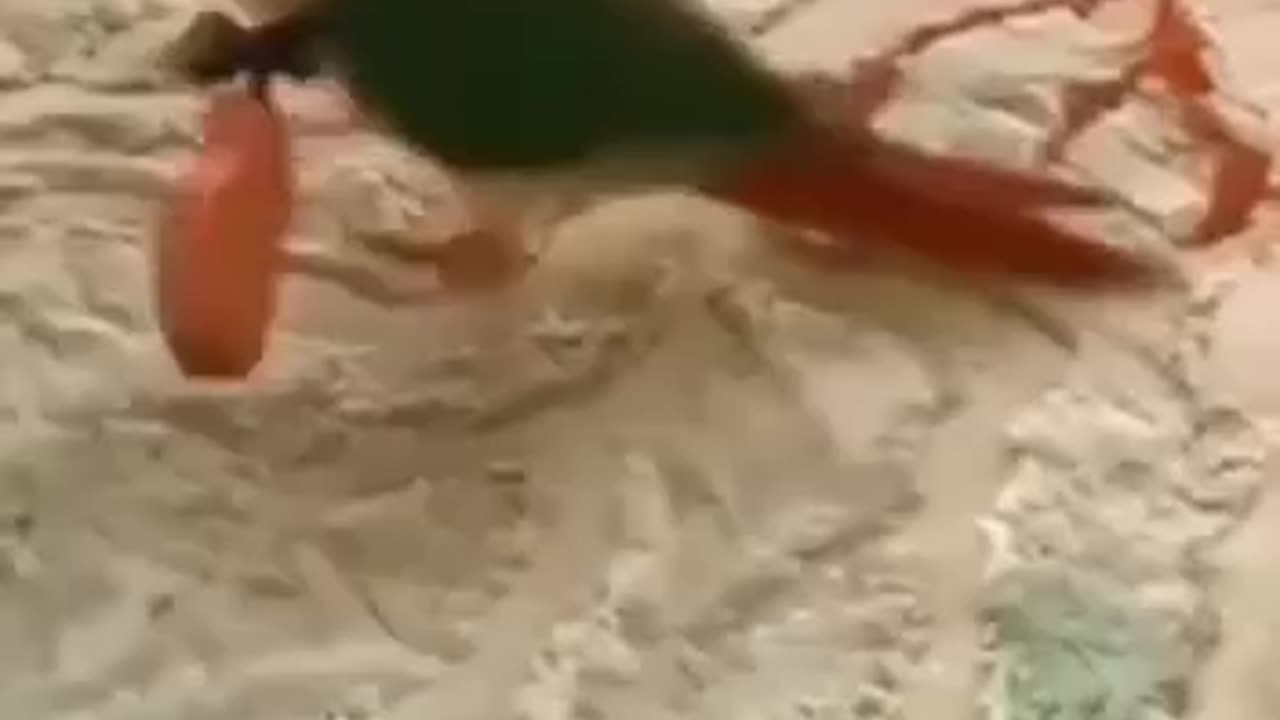 Little bit of reality and little bit of AI? 😂😂😂