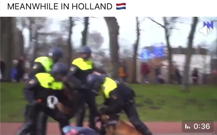 Netherlands: Meanwhile these are protests against the Dutch farmers being pushed off their land.👀