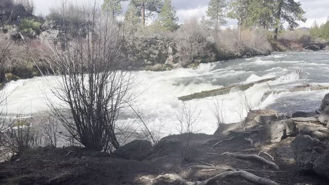 The Top of the Dillon Falls Waterfall System – Deschutes River – Central Oregon – 4K