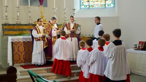 Notas sobre o Domingo de Ramos na Liturgia pre-1955