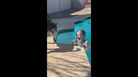 dog is on the lookout to save its owner in case of danger