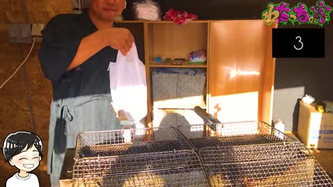 【沖縄グルメ】串のない焼き鳥屋「トリちゅう」