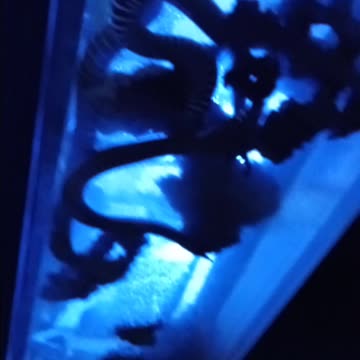 Phoenix Arizona Wildlife World Zoo