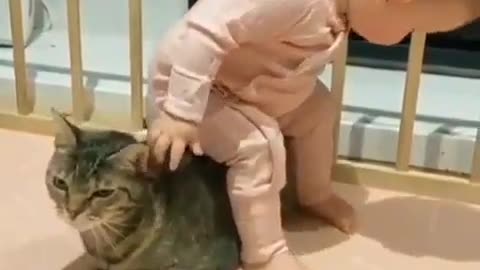 Funniest baby and cat video(baby tries to sit on cat😹)